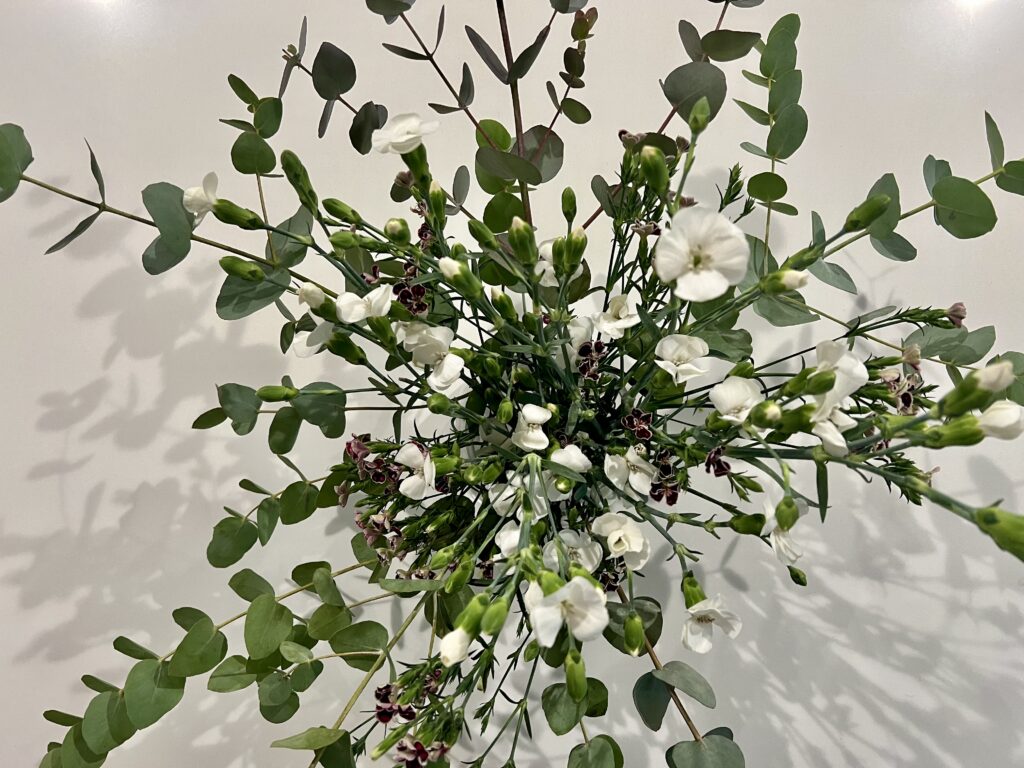 The white dianthus, added randomly