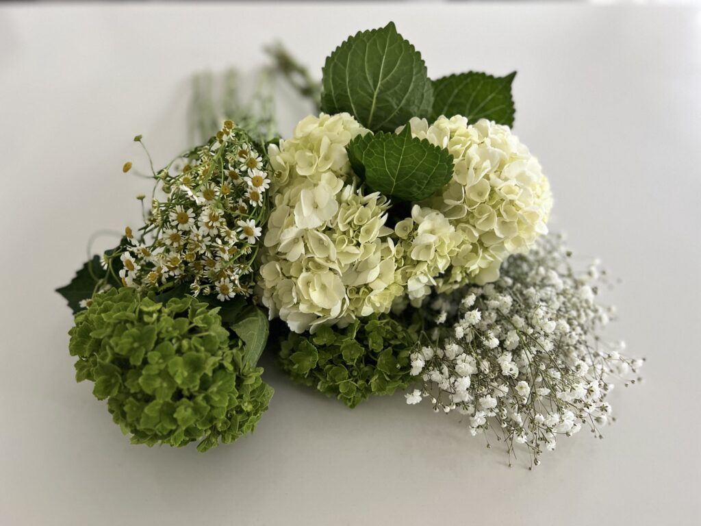 You will need: green shamrock hydrangeas, white hydrangeas, baby's breath, and chamomile