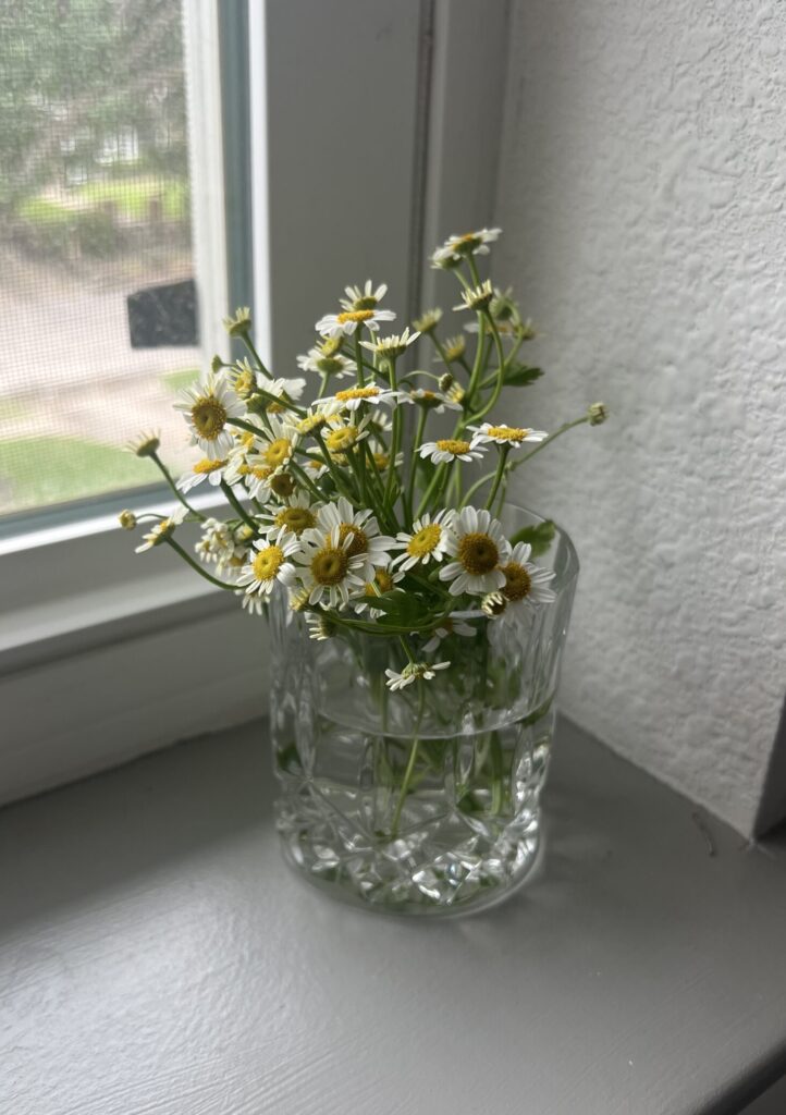 The leftover chamomile in a crystal tumbler